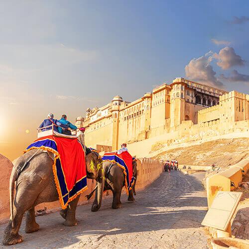 The Essence of Rajasthan: Top Picks