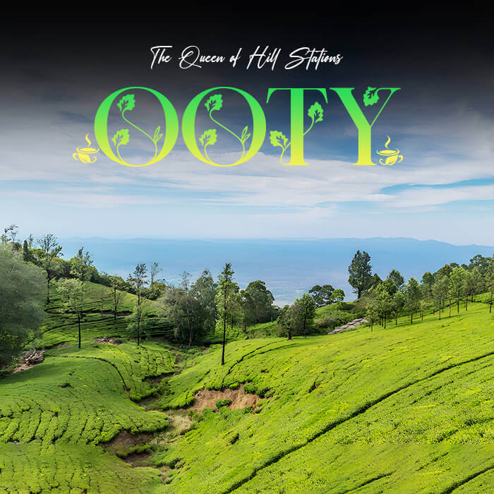 Ooty